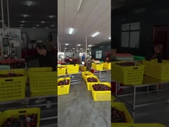 पॉलिएस्टर सिलाई का धागा